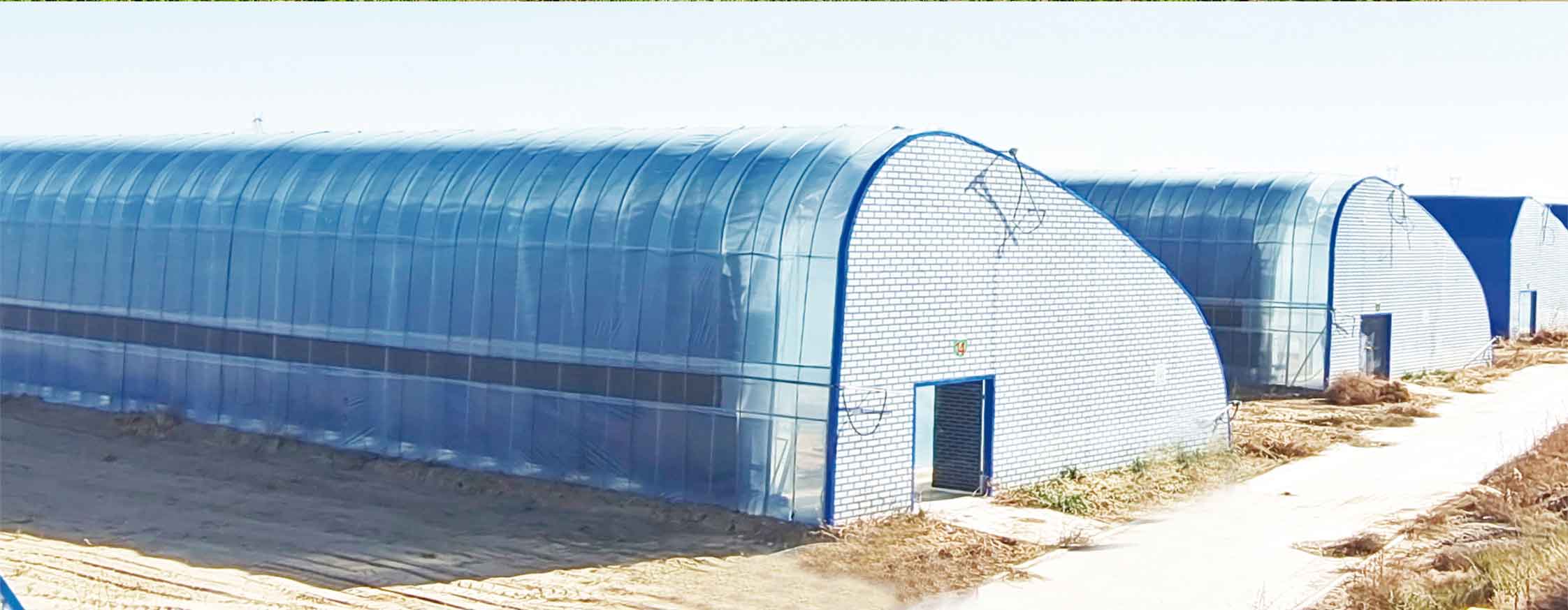 2、冬室夏棚網頁_10.jpg